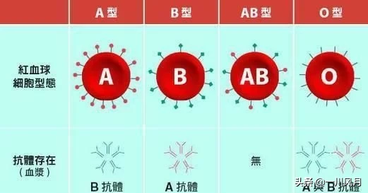 a型血和b型血父母,能生出o型血的孩子吗?科学家:能