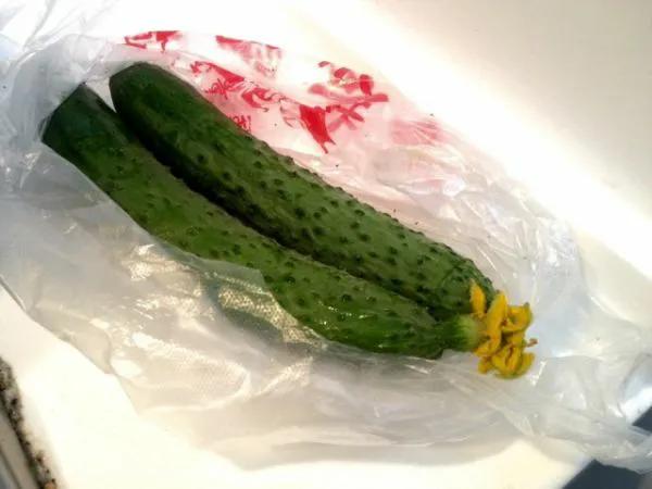 黄瓜和它在一起炒简直是绝配，做法超简单，营养爽脆又解馋