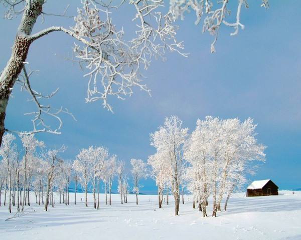 出门赏雪不得不知道的描写雪景的诗词，你还有哪些优美的诗句