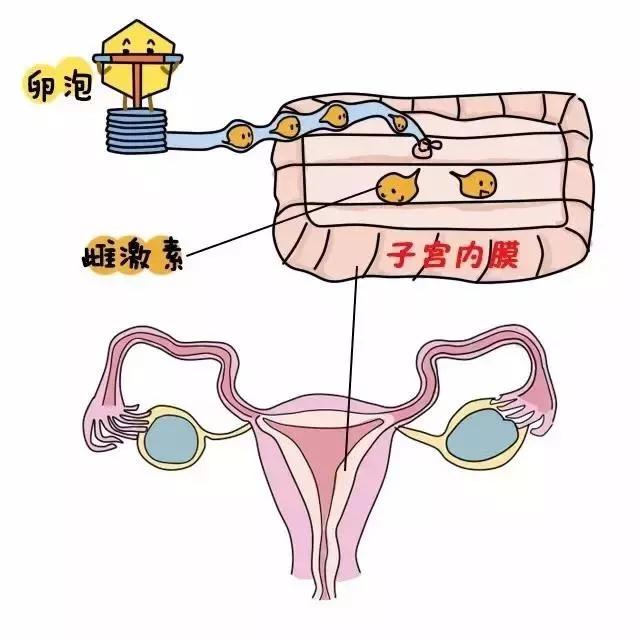 降调节，内异症姐妹又爱又恨TA