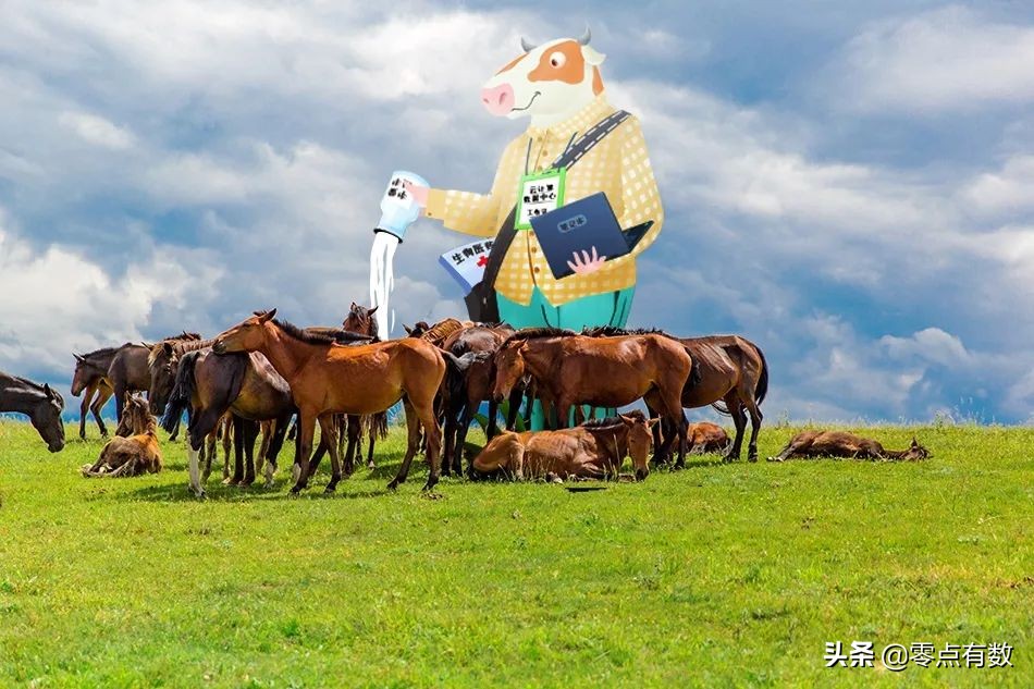 呼和浩特奶萌兽：足球摔跤样样行，体育课代表非它莫属！