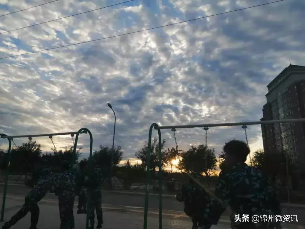 锦州辽宁理工职业学院！我走进大学生活