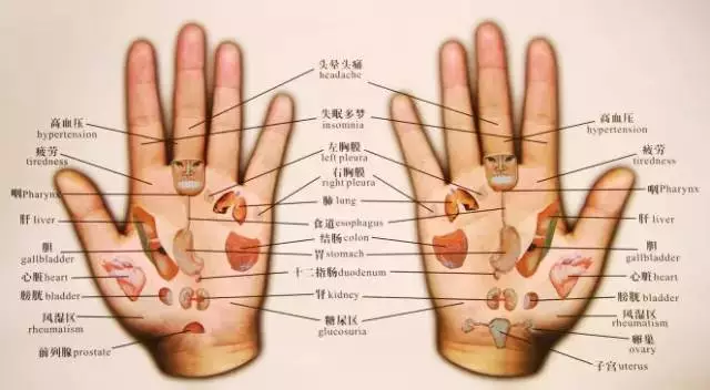 几乎失传的手诊，健康状况，就在手上，建议收藏