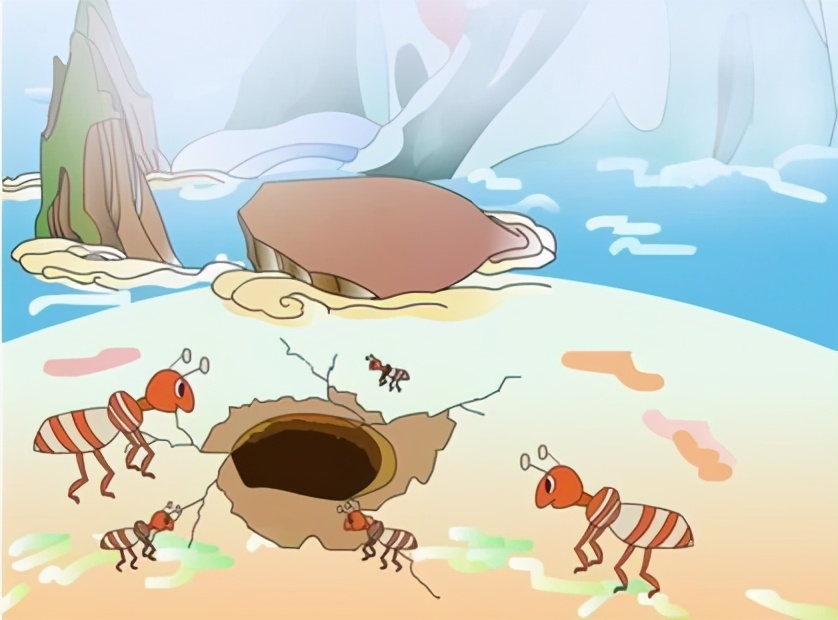 从蚂蚁到鼹鼠,自然界的很多动物为什么"酷爱"打洞