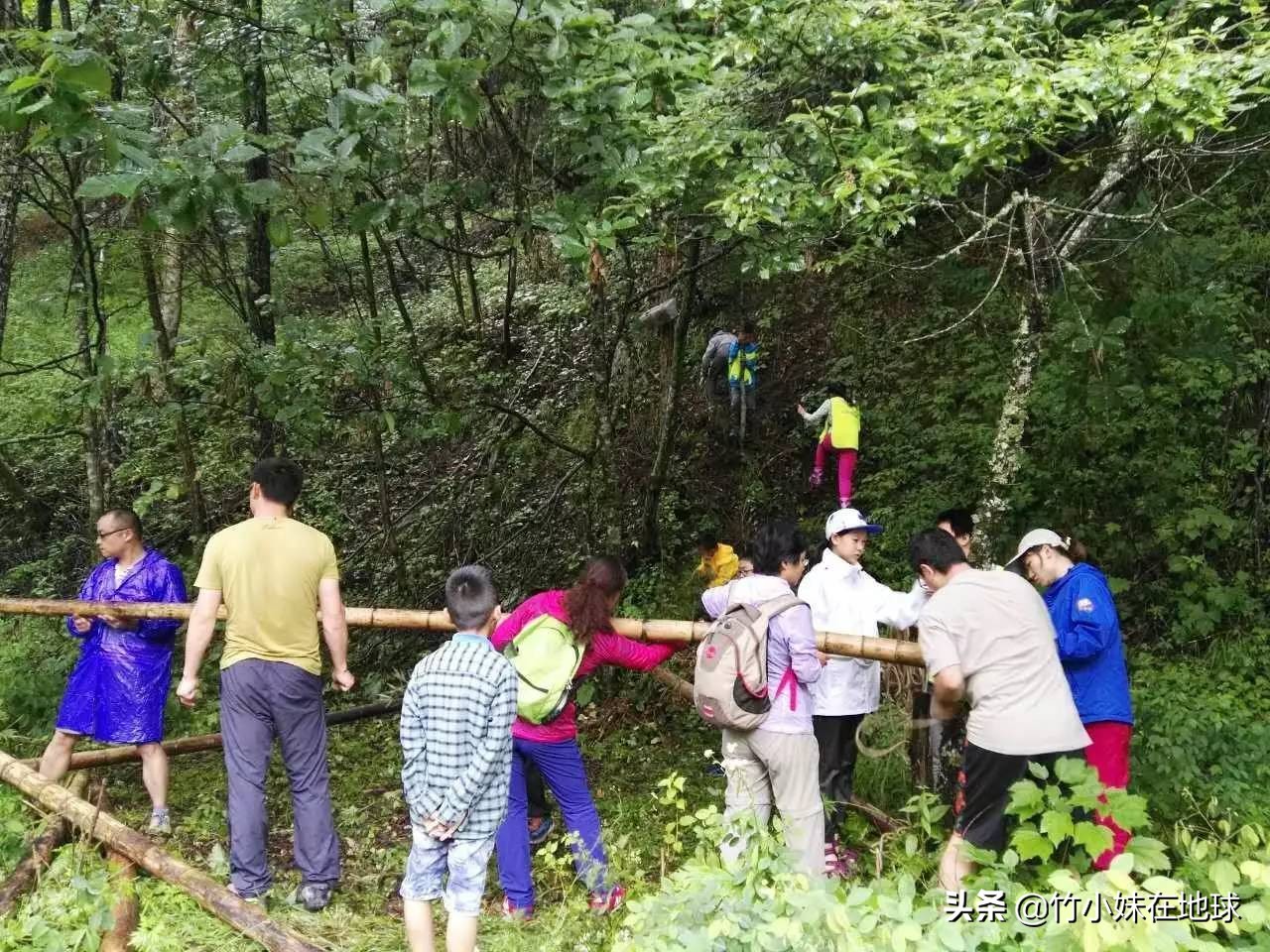 神农架野人之谜(27名科考队员，历时60天寻找“野人”，意外找到“野二代”？)