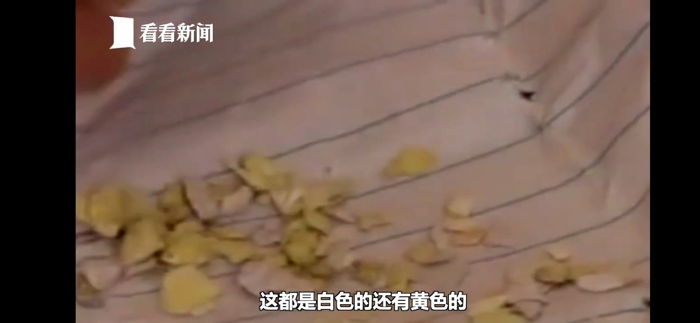 我承认，我曾经是校园霸凌的施暴者