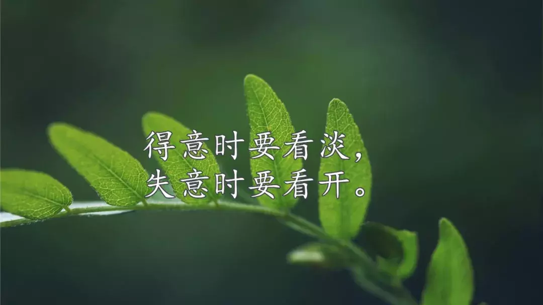 中秋节朋友圈很赞的心情短语，句句触动人心