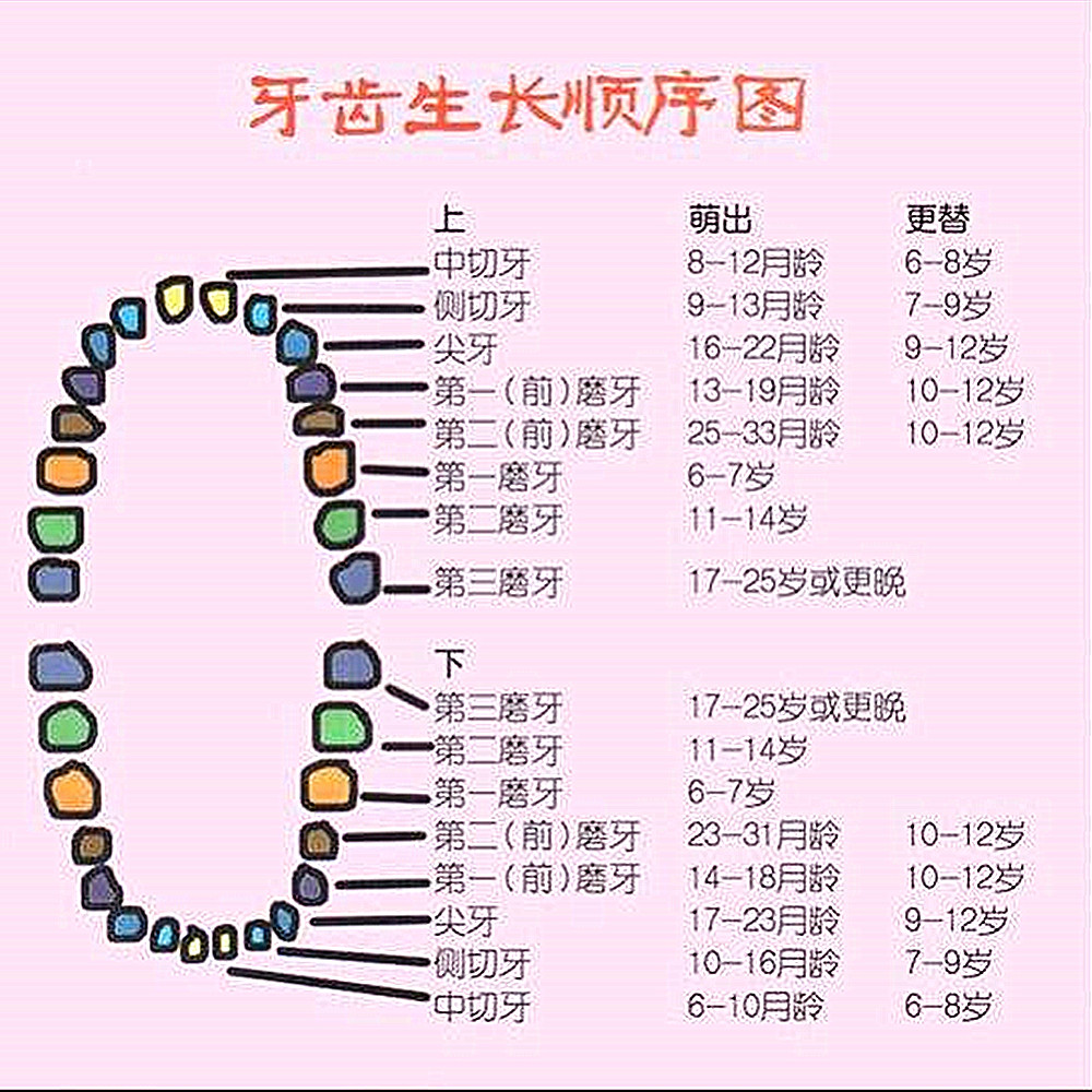 出现这些症状说明宝宝要长牙了，出牙的顺序要知道，宝宝跟上了吗