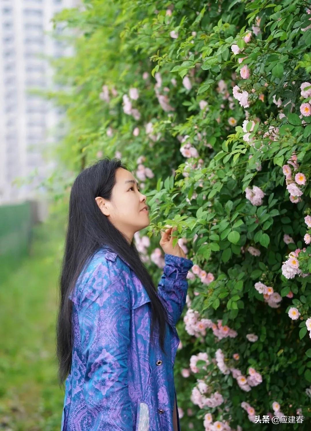 「散文」当蔷薇花遇细雨，江南四月小清新