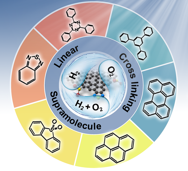 重大突破！南京13项科研成果获国际关注！