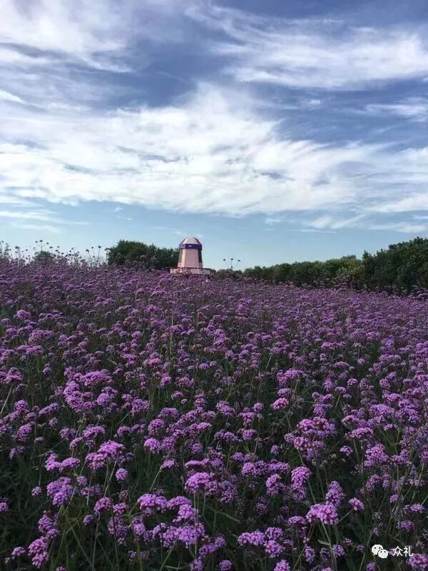 假期亲子礼品之旅游套票—北京国际鲜花港+大美儿童世界