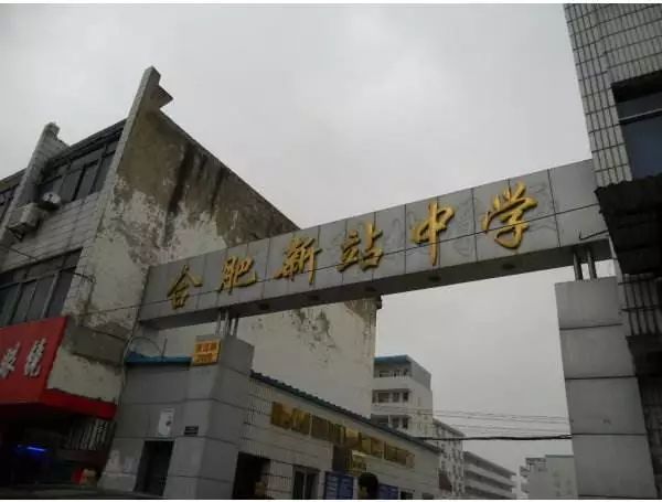 年薪20万孩子上不起学？合肥TOP10学区房or上民办究竟有多贵？