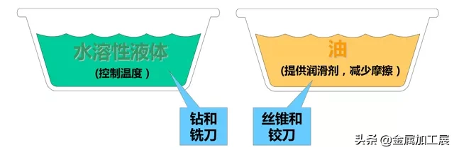 攻螺纹基础知识，螺纹的结构和特点讲解，丝锥的设计加工指南