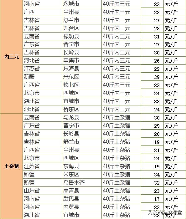 仔豬價格｜7月28日仔豬全國各地最新價格行情數據