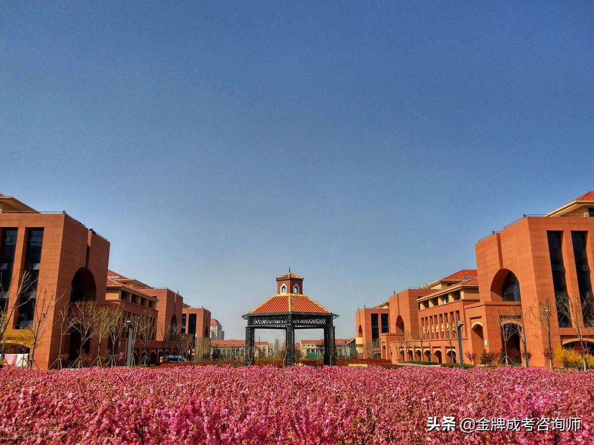 学习差的高中生，他们的出路在哪里？选择这四条崛起很简单