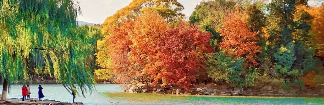 来北大吧，我们一起做同学 | 稳定获利培训班