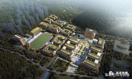 录取分很低？28所新大学今年秋季开始招生！（本专科都有）