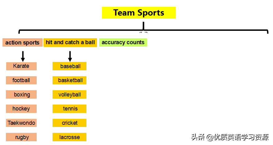 Sports(英语原版阅读：Team Sports)