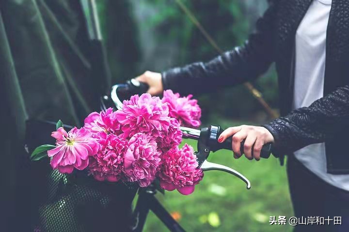双鱼座与12星座的关系，双鱼座和射手座是只要在一起就能相处