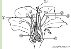 2018年人教版七年级上册生物期末试题及答案