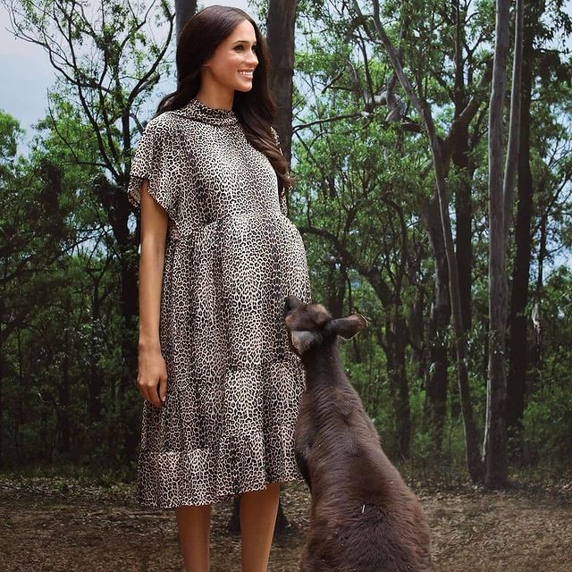 怀孕大肚可爱卡通图片(梅根"一家四口"卡通画来啦!