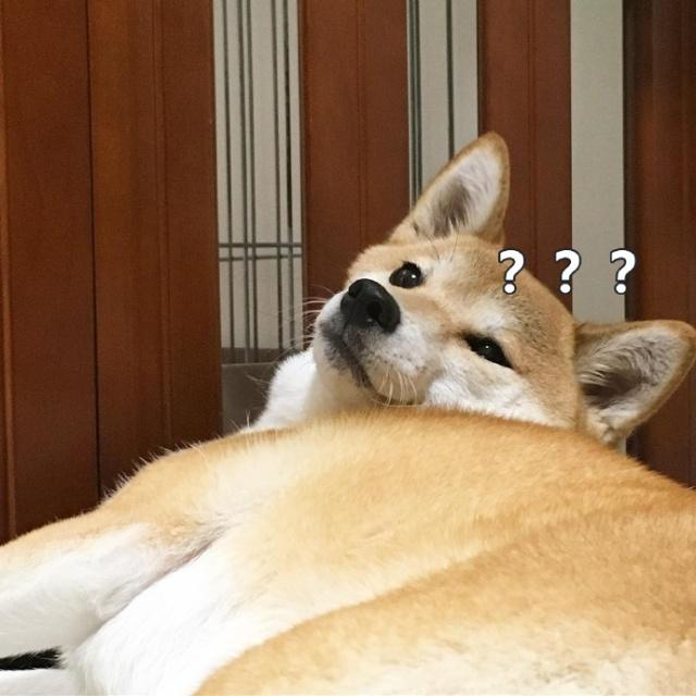 朋友圈一句搞笑说说:你我互道晚安,却在王者峡谷相遇?