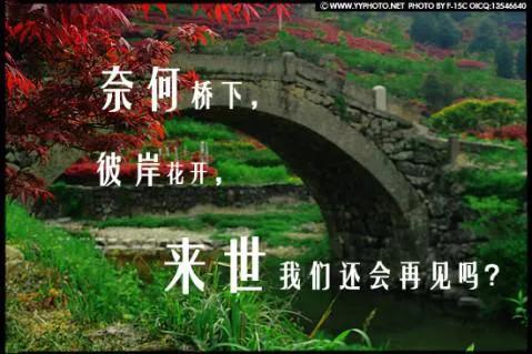 忘川河是什么意思（非常感人忘川河背后的故事）