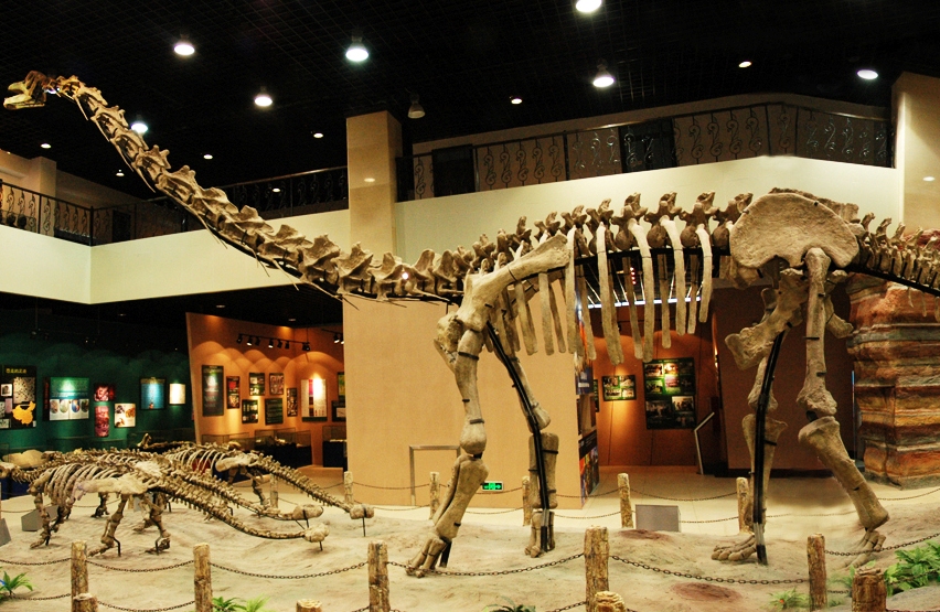 河北地质大学2020招生计划与录取动态