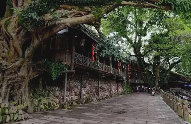 成都边边上这个小地方，居然是个“人间天堂”