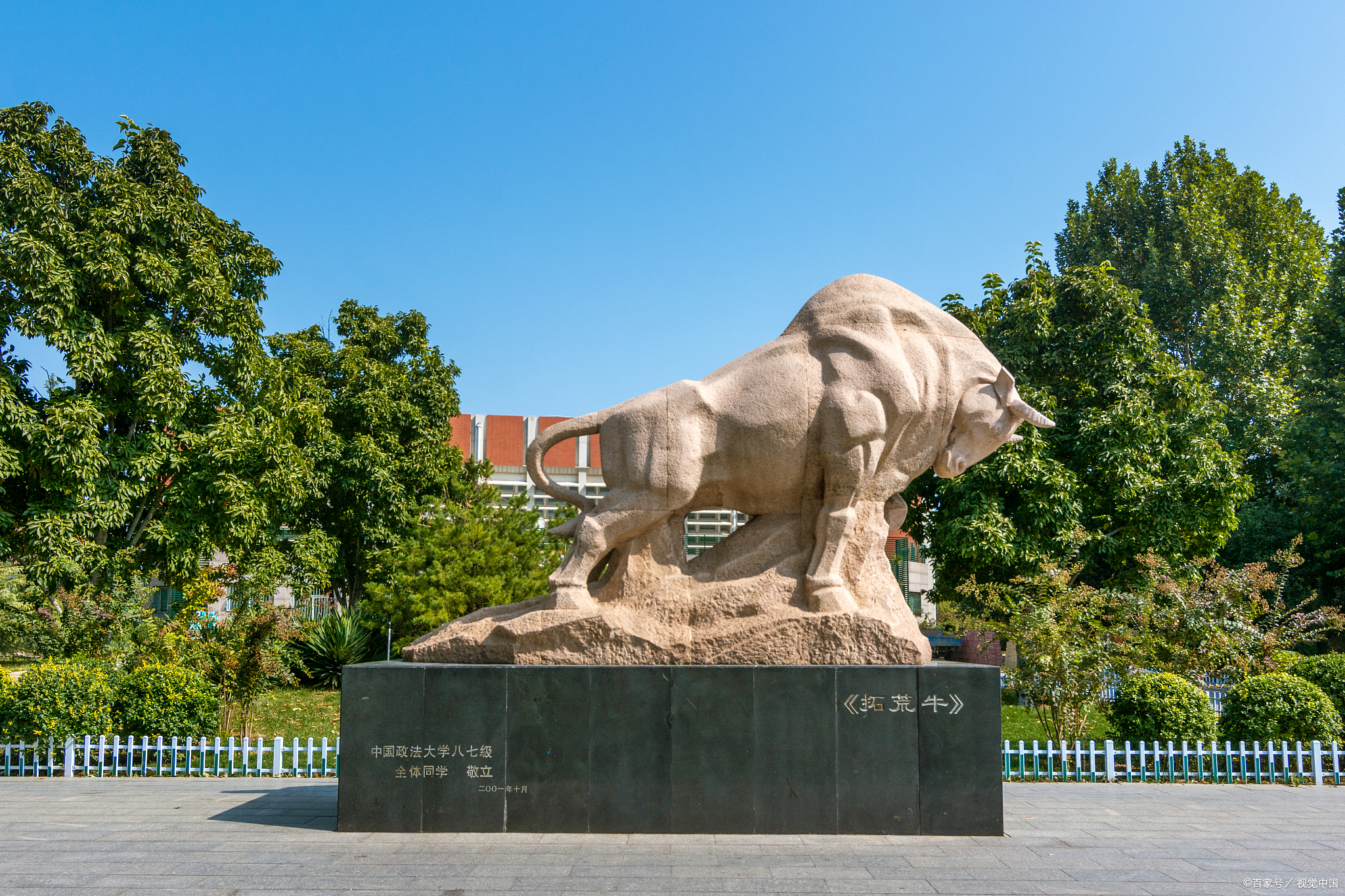 22考研请注意！招生目录确定！中政法又缩招了