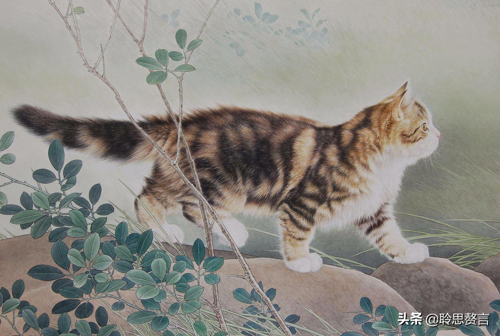 古代描写猫的诗词(精选三十三首咏猫诗词)