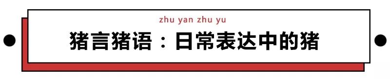 除了「猪事顺利」，猪年还能说哪些祝福语？快进来学几句吧！