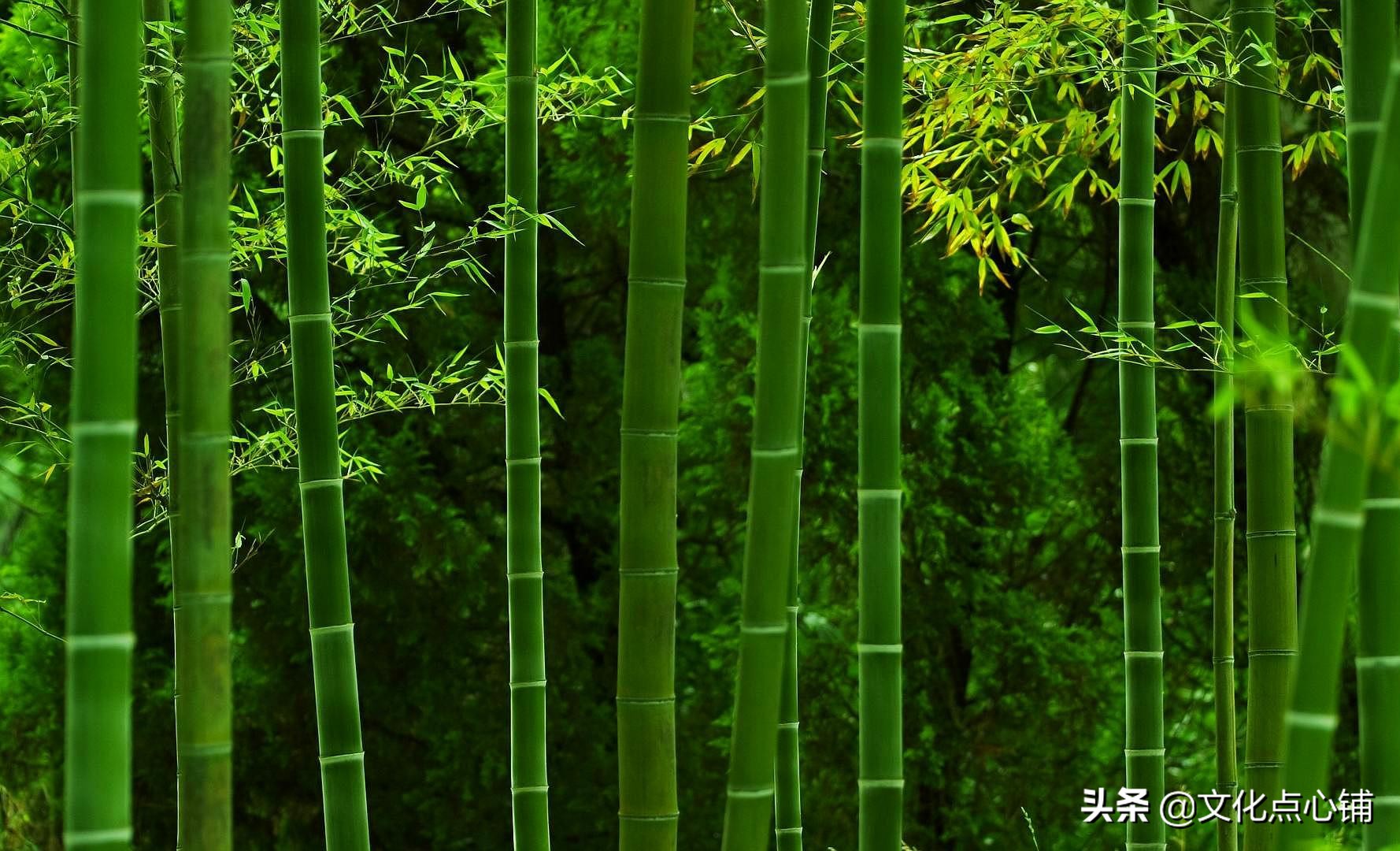 我曾踏月而归，只因你在山中，十首深情唯美相思词，犹如故人来