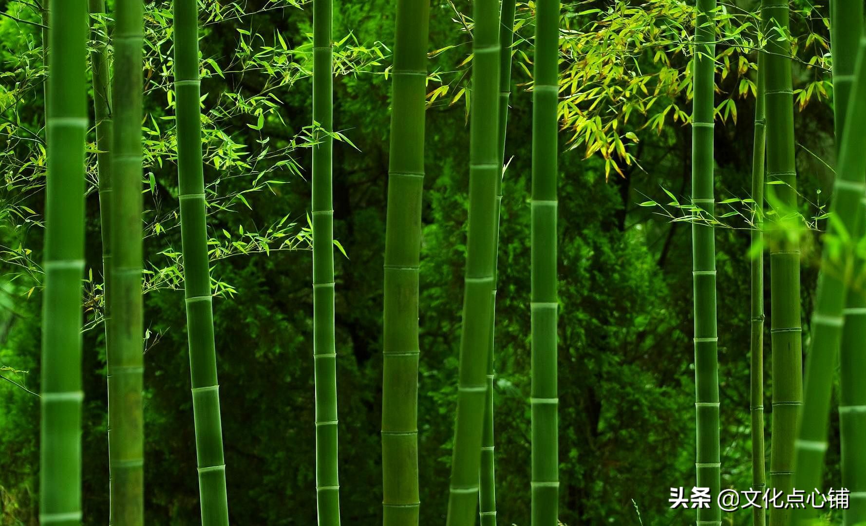 我曾踏月而归，只因你在山中，十首深情唯美相思词，犹如故人来