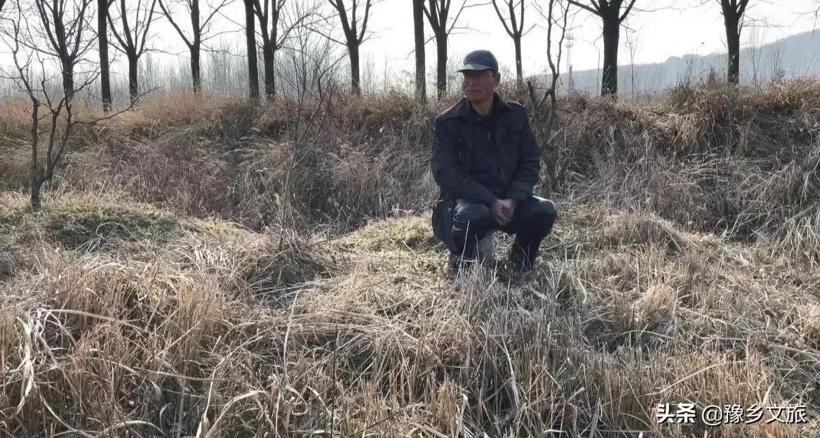 一只羊多少錢,