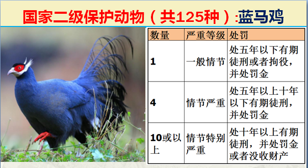 国家保护动物分几个等级（125类二级野生保护名录）