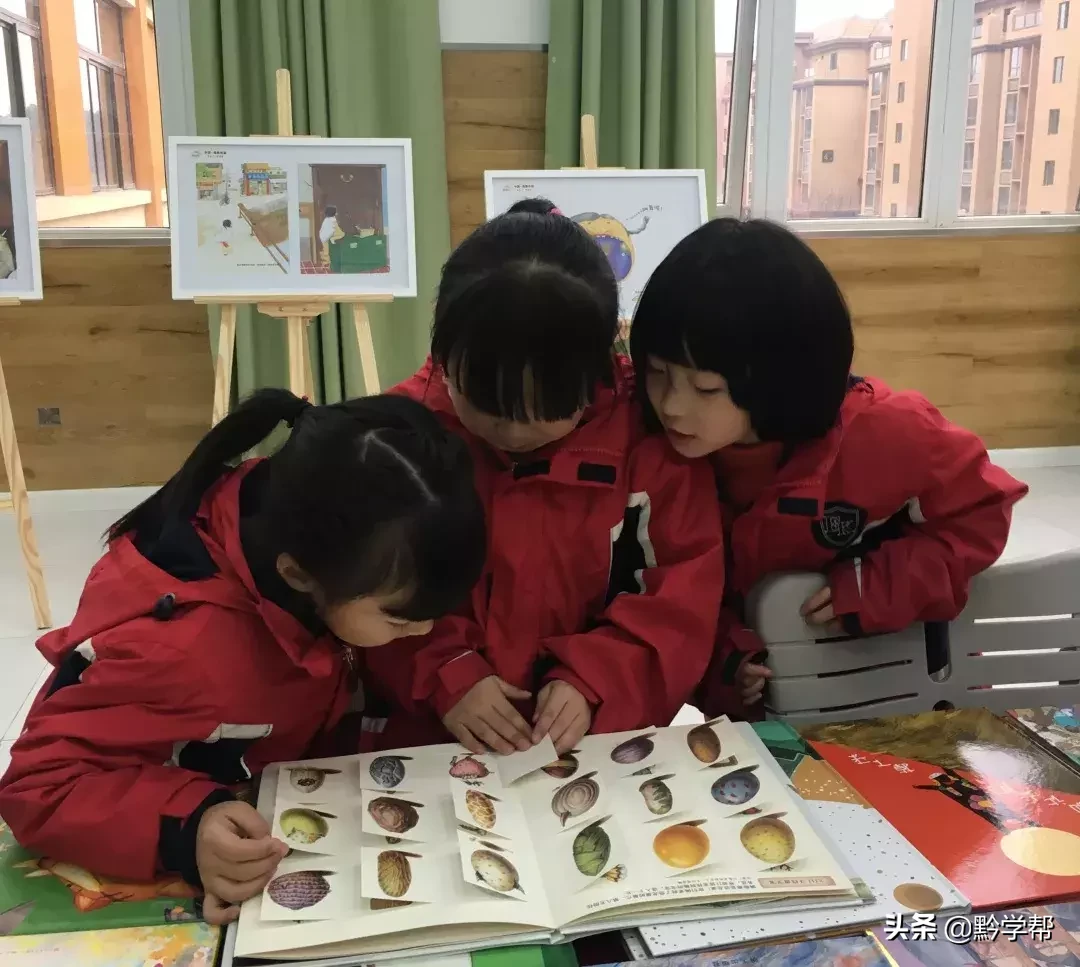 插班生招生！观山湖培文学校三至六年级招生来袭！