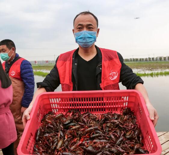 盘点农村创业年入百万的十大杰出人物，最后一位家喻户晓