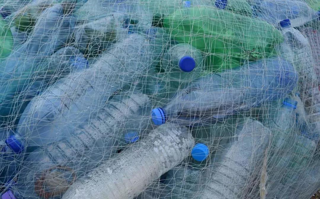 瓶装水PET瓶到底可回收还是“一次性塑料垃圾”？