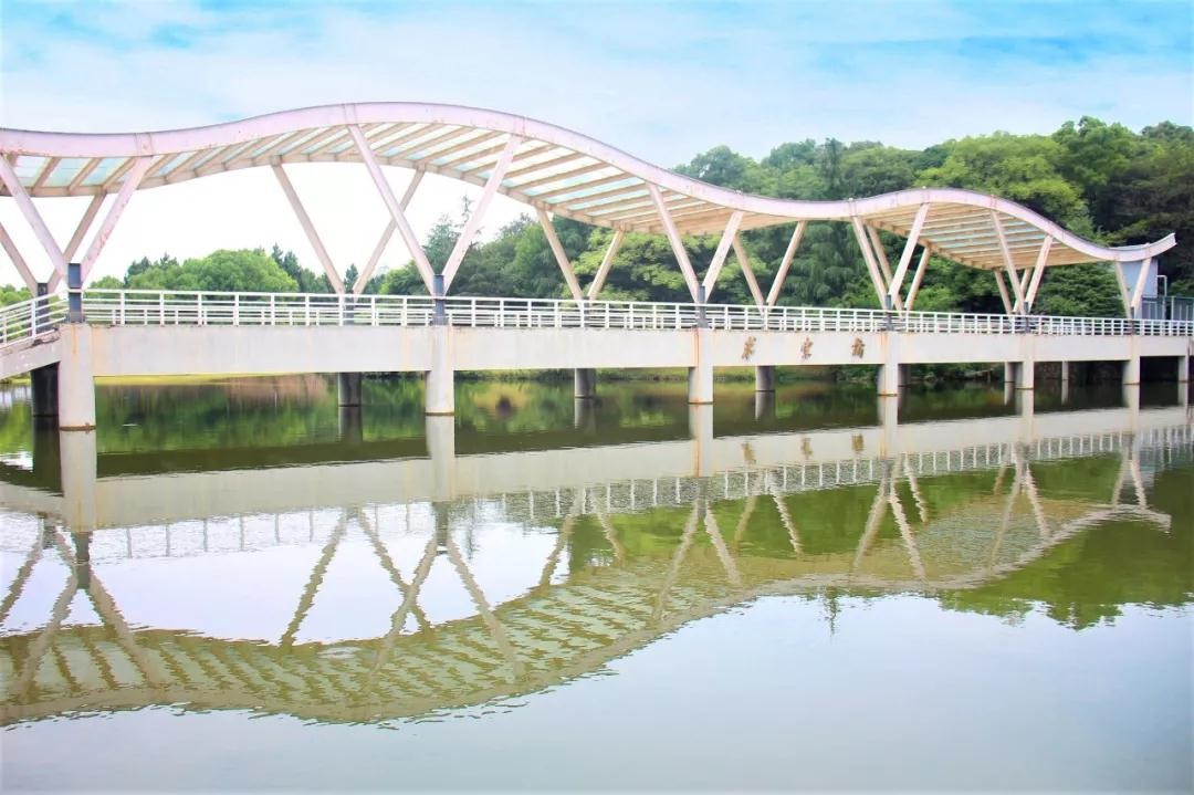 致力培养优秀公务员，湖北这所高校火了，415人进入政府、财税系统等单位！