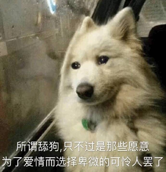 分享：「终极舔狗」语录