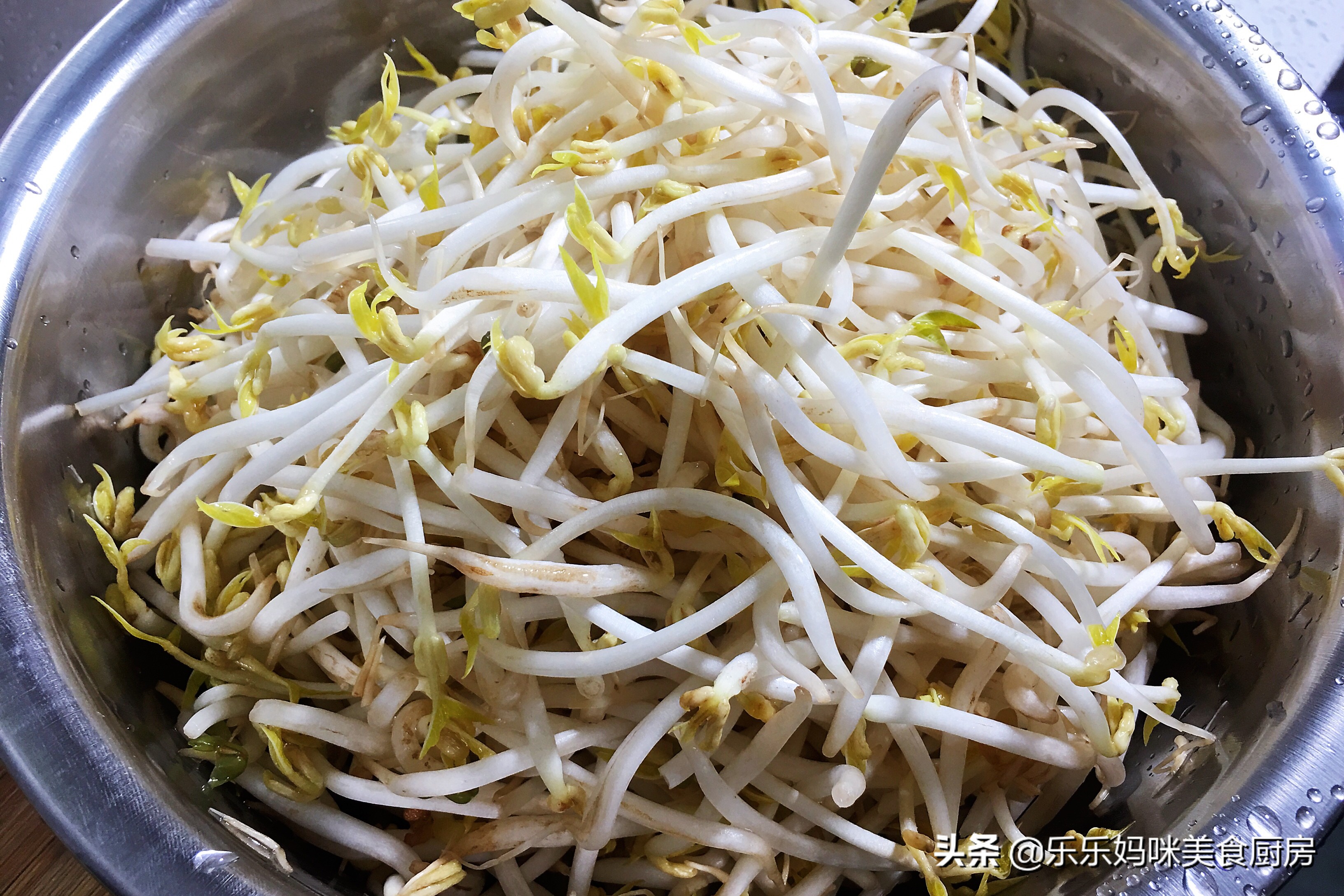 怎么样做豆芽 怎么样做豆芽长得好