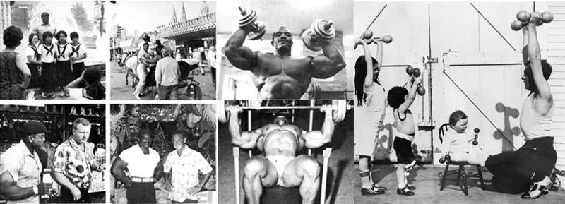 增肌难：连续50年全球男性“睾酮”下降怎么救？