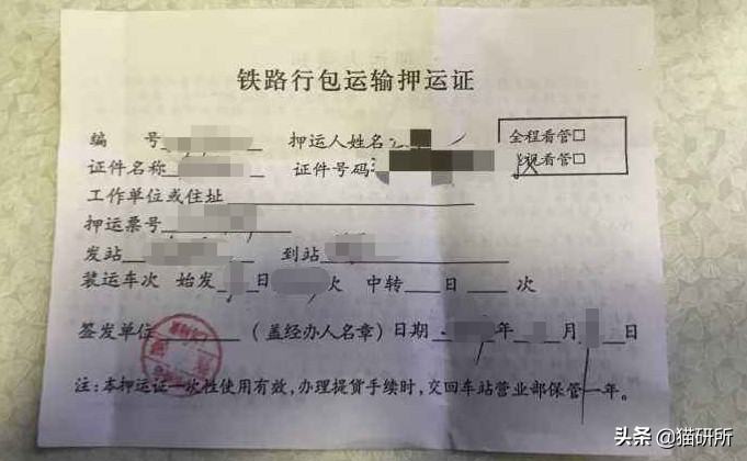 猫咪火车托运全指南：15个最常见问题全解答