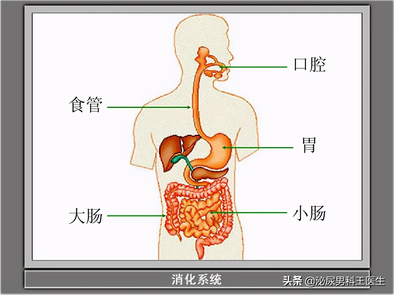 你了解过坦索罗辛吗？除了改善尿频，还能治疗3种常见的男科疾病
