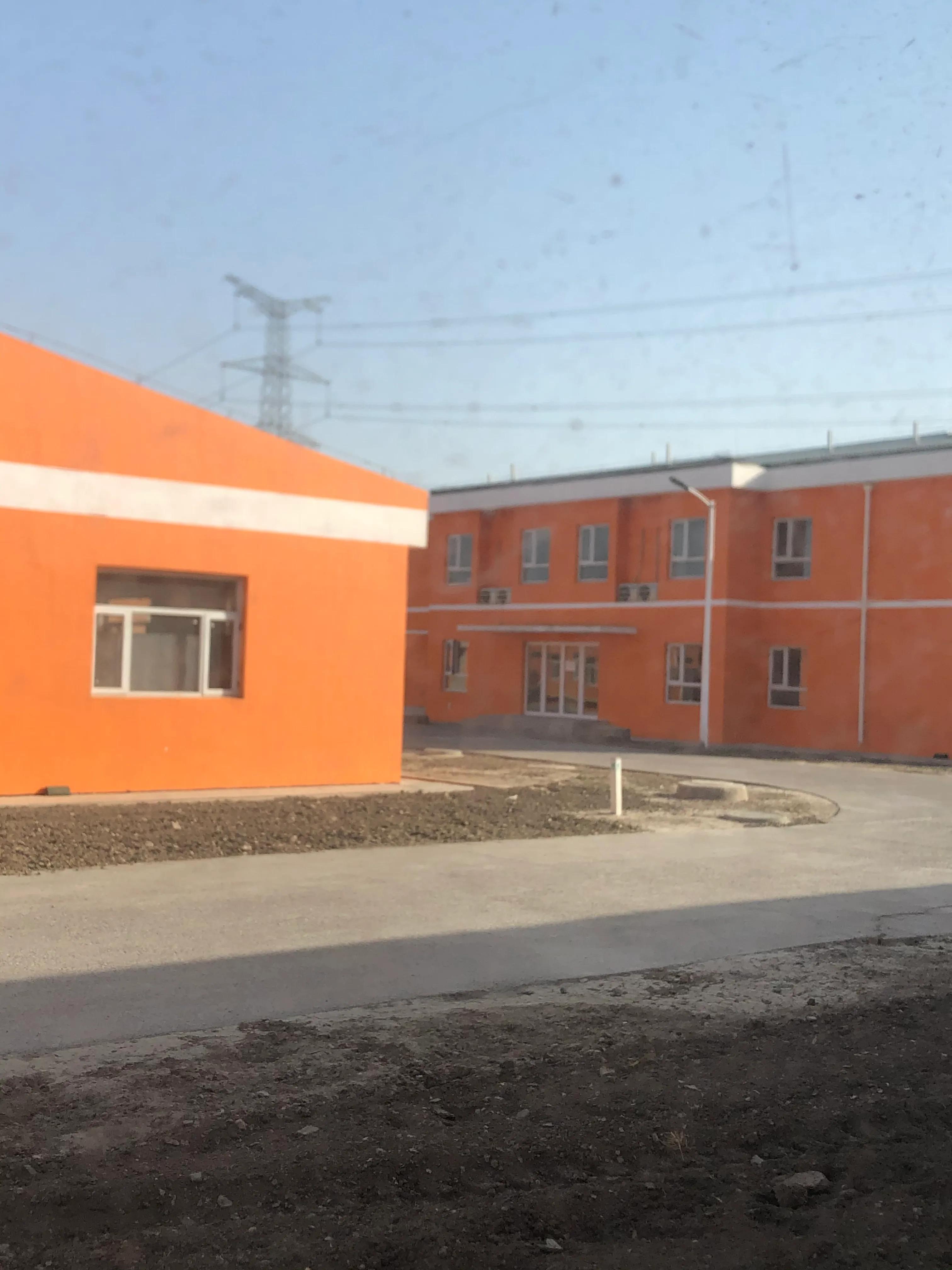 大学生养猪，谈谈真实感受