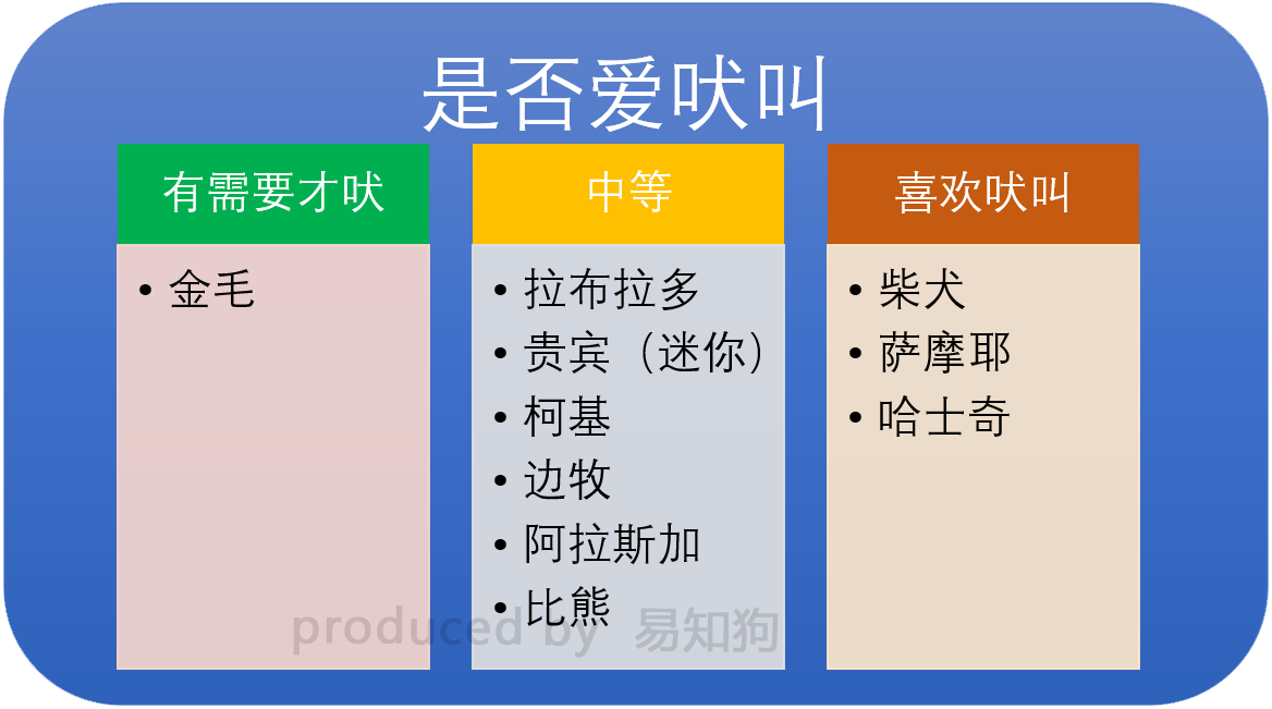 新手养狗必看：国内十大流行犬种横向对比