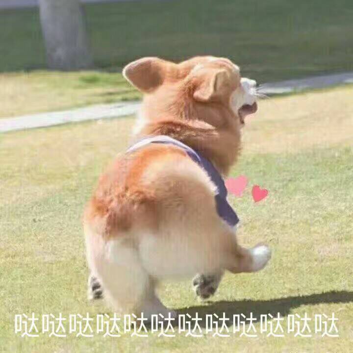 手译本内容详解