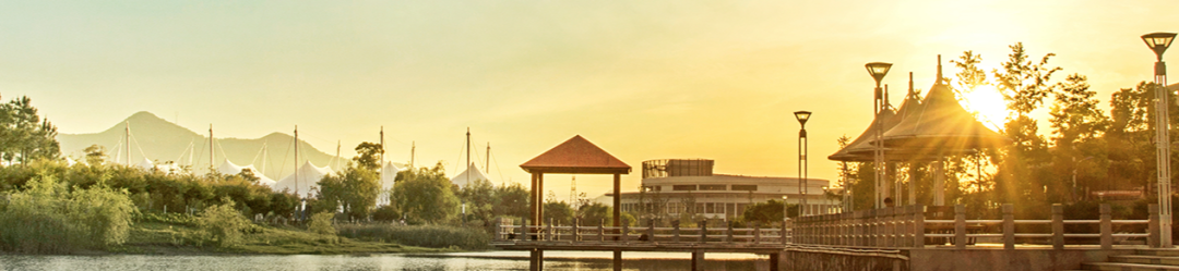 未来，浙江这六所“学院”可能更名“大学”