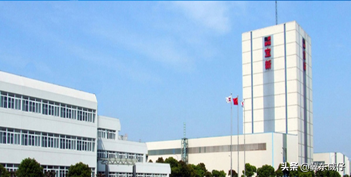 中国宝武集团钢铁板块的十二大钢铁子公司(中国大型钢铁制造商宝武钢铁集团)